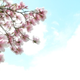 Illustration for article titled Shooting Challenge: Spring Part 1